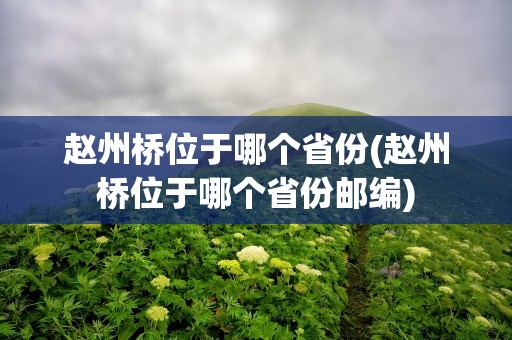 赵州桥位于哪个省份(赵州桥位于哪个省份邮编)