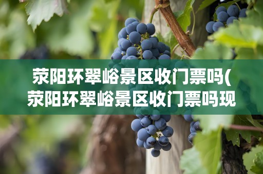 荥阳环翠峪景区收门票吗(荥阳环翠峪景区收门票吗现在)