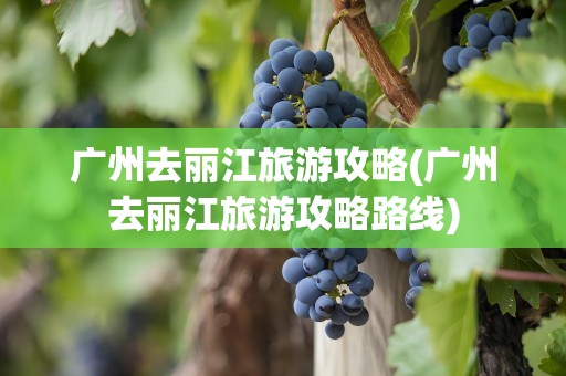 广州去丽江旅游攻略(广州去丽江旅游攻略路线)