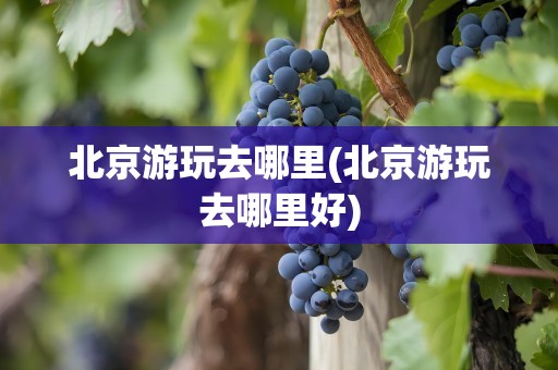 北京游玩去哪里(北京游玩去哪里好)