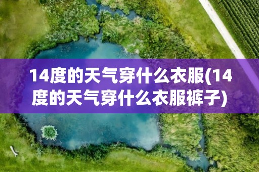 14度的天气穿什么衣服(14度的天气穿什么衣服裤子)