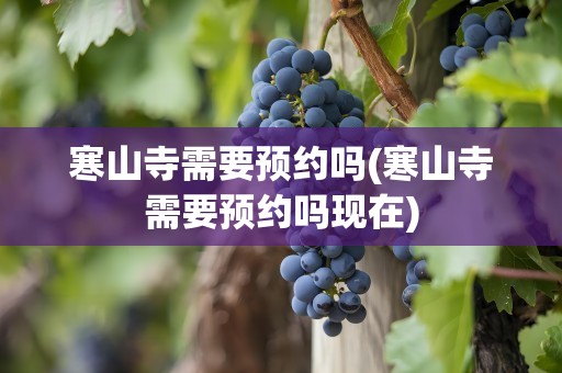 寒山寺需要预约吗(寒山寺需要预约吗现在)