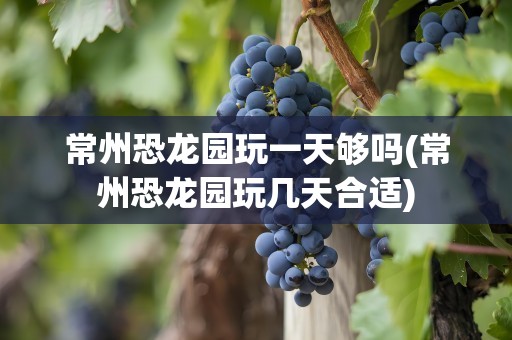 常州恐龙园玩一天够吗(常州恐龙园玩几天合适)