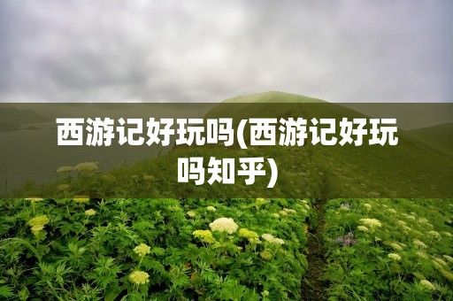 西游记好玩吗(西游记好玩吗知乎)