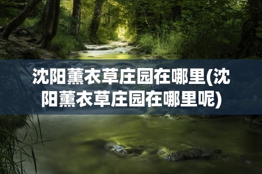 沈阳薰衣草庄园在哪里(沈阳薰衣草庄园在哪里呢)