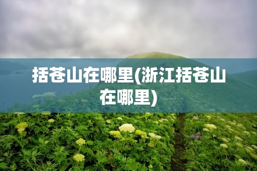 括苍山在哪里(浙江括苍山在哪里)