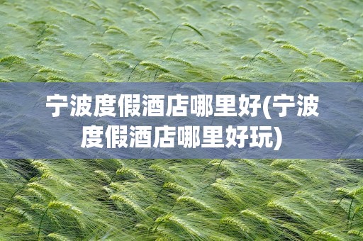 宁波度假酒店哪里好(宁波度假酒店哪里好玩)