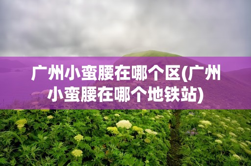 广州小蛮腰在哪个区(广州小蛮腰在哪个地铁站)