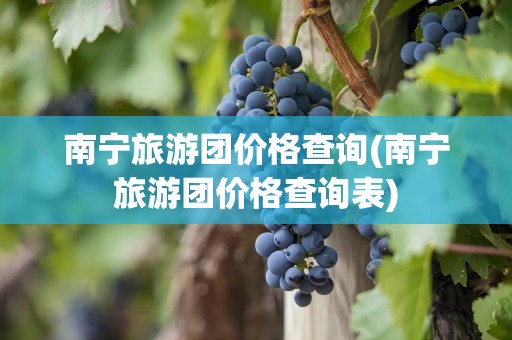 南宁旅游团价格查询(南宁旅游团价格查询表)
