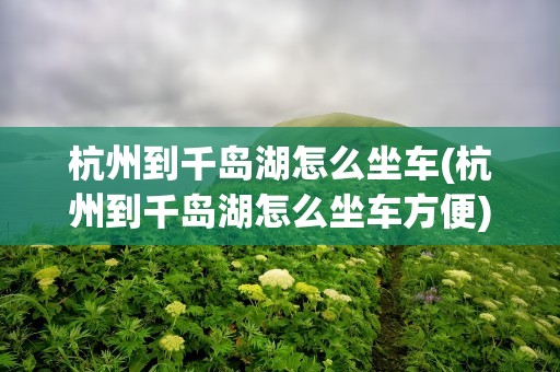 杭州到千岛湖怎么坐车(杭州到千岛湖怎么坐车方便)
