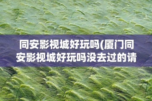 同安影视城好玩吗(厦门同安影视城好玩吗没去过的请不要回答谢谢!)