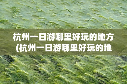 杭州一日游哪里好玩的地方(杭州一日游哪里好玩的地方推荐)