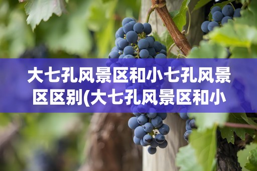 大七孔风景区和小七孔风景区区别(大七孔风景区和小七孔风景区区别在哪)