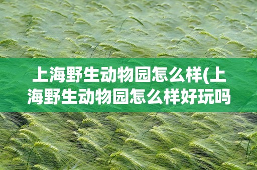 上海野生动物园怎么样(上海野生动物园怎么样好玩吗)