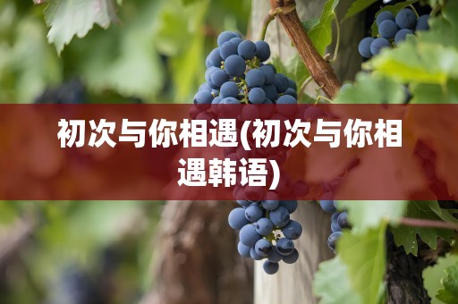 初次与你相遇(初次与你相遇韩语)