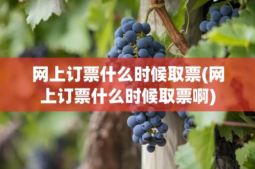 网上订票什么时候取票(网上订票什么时候取票啊)