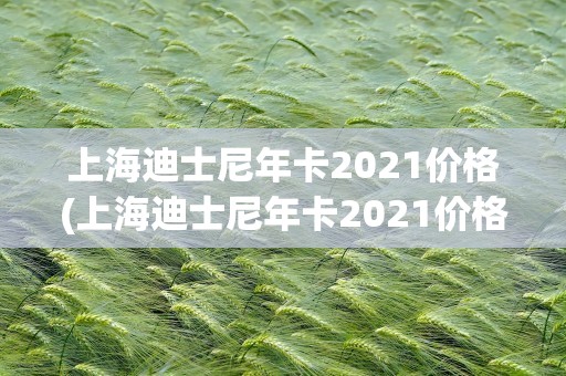 上海迪士尼年卡2021价格(上海迪士尼年卡2021价格表)