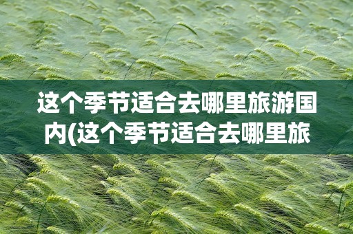 这个季节适合去哪里旅游国内(这个季节适合去哪里旅游国内英语)