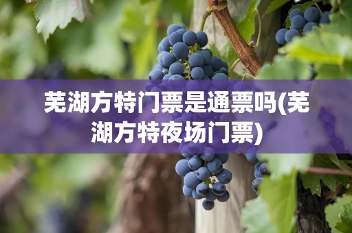芜湖方特门票是通票吗(芜湖方特夜场门票)