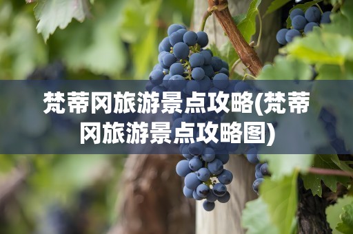 梵蒂冈旅游景点攻略(梵蒂冈旅游景点攻略图)