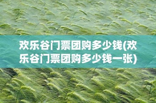 欢乐谷门票团购多少钱(欢乐谷门票团购多少钱一张)