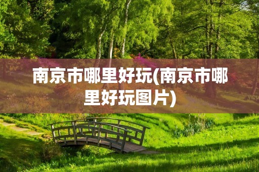 南京市哪里好玩(南京市哪里好玩图片)