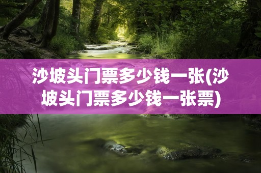 沙坡头门票多少钱一张(沙坡头门票多少钱一张票)