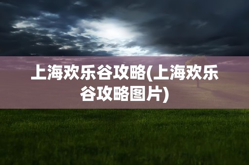 上海欢乐谷攻略(上海欢乐谷攻略图片)