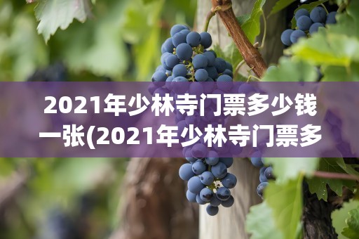 2021年少林寺门票多少钱一张(2021年少林寺门票多少钱一张啊)