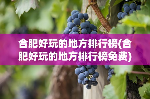 合肥好玩的地方排行榜(合肥好玩的地方排行榜免费)