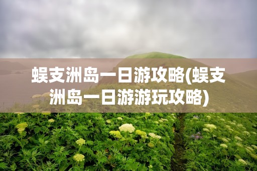 蜈支洲岛一日游攻略(蜈支洲岛一日游游玩攻略)