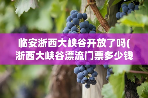 临安浙西大峡谷开放了吗(浙西大峡谷漂流门票多少钱在哪里好玩吗附开放时间)