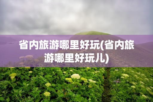 省内旅游哪里好玩(省内旅游哪里好玩儿)