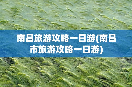 南昌旅游攻略一日游(南昌市旅游攻略一日游)