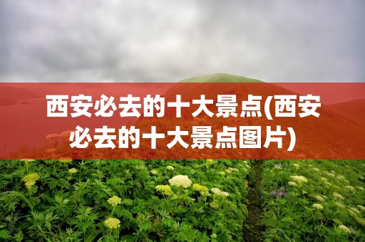 西安必去的十大景点(西安必去的十大景点图片)