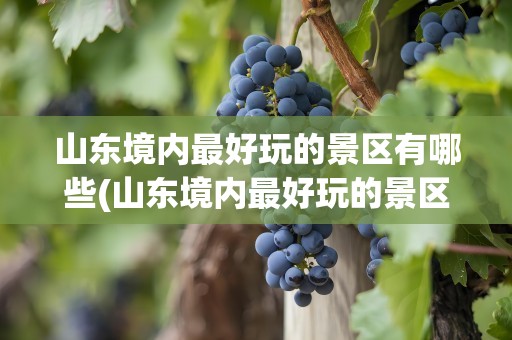 山东境内最好玩的景区有哪些(山东境内最好玩的景区有哪些呢)