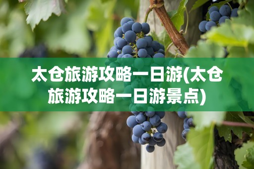 太仓旅游攻略一日游(太仓旅游攻略一日游景点)