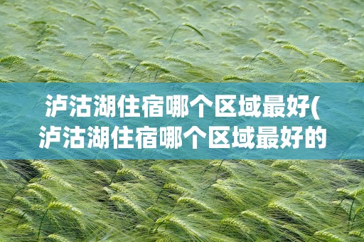 泸沽湖住宿哪个区域最好(泸沽湖住宿哪个区域最好的)