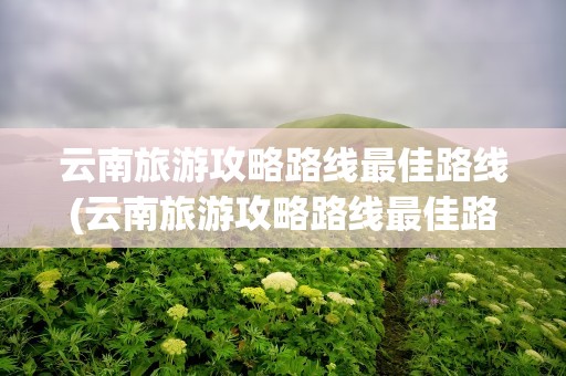 云南旅游攻略路线最佳路线(云南旅游攻略路线最佳路线图)