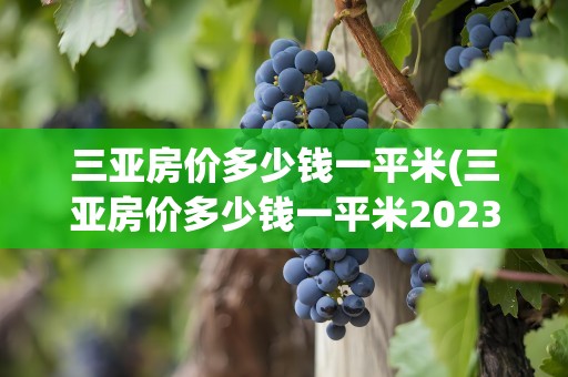 三亚房价多少钱一平米(三亚房价多少钱一平米2023)