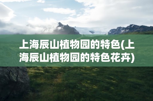上海辰山植物园的特色(上海辰山植物园的特色花卉)