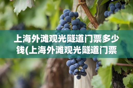上海外滩观光隧道门票多少钱(上海外滩观光隧道门票多少钱一张)