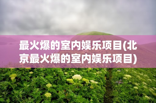 最火爆的室内娱乐项目(北京最火爆的室内娱乐项目)