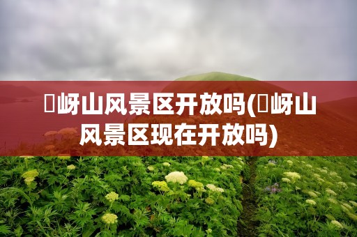 嵖岈山风景区开放吗(嵖岈山风景区现在开放吗)