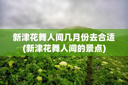 新津花舞人间几月份去合适(新津花舞人间的景点)