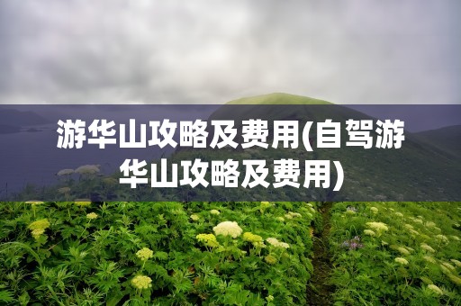 游华山攻略及费用(自驾游华山攻略及费用)