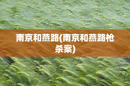 南京和燕路(南京和燕路枪杀案)