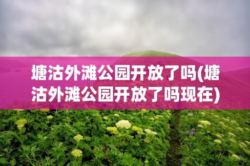 塘沽外滩公园开放了吗(塘沽外滩公园开放了吗现在)