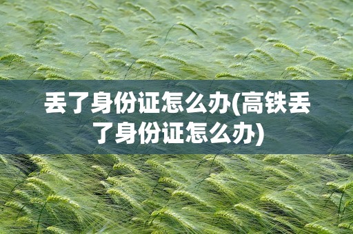 丢了身份证怎么办(高铁丢了身份证怎么办)