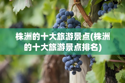 株洲的十大旅游景点(株洲的十大旅游景点排名)